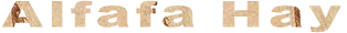 Alfafa Hay