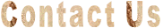 Contact Us